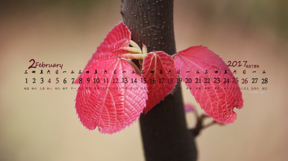 2017年2月红色嫩芽高清桌面日历壁纸