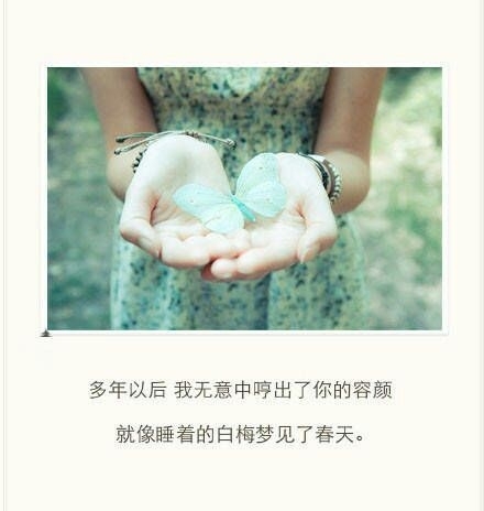 最后一次说晚安，以后好好照顾自己，再见