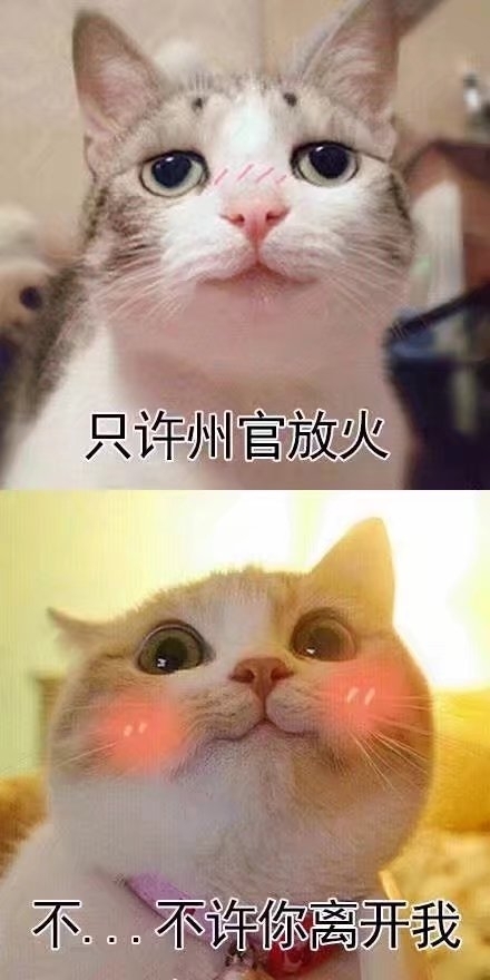 何以解忧...唯有抱你