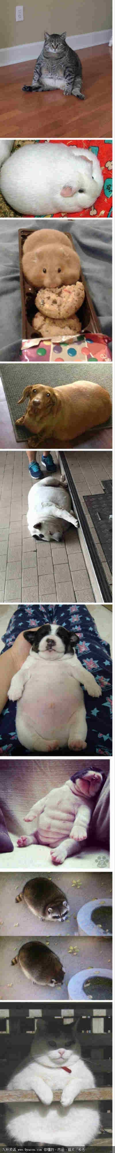 过完春节的你搞笑大全