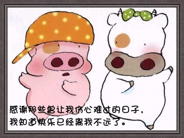 兜兜转转。我依旧是我。不虚伪不做...
