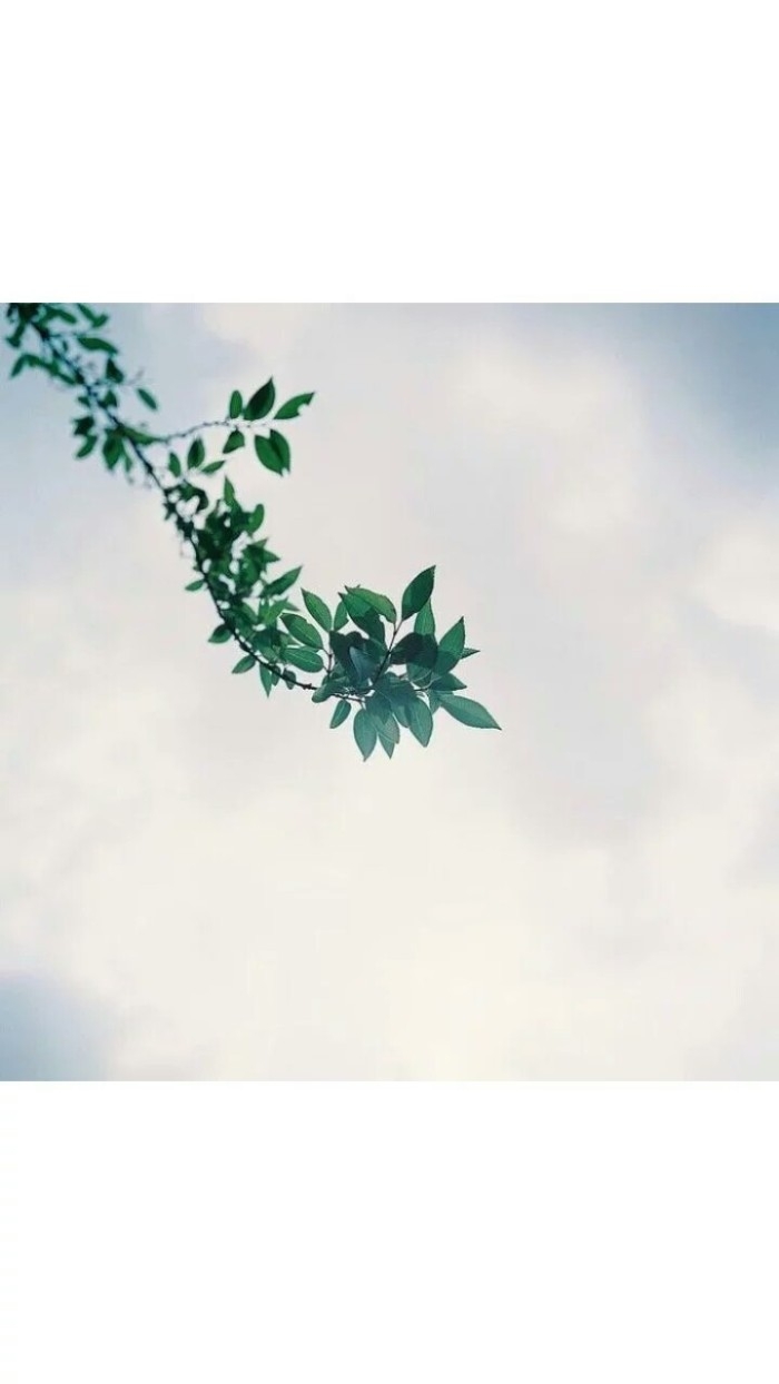 名片  背景图