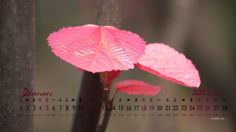 2017年2月红色嫩芽高清桌面日历壁纸