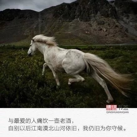 情话书签：人生这么长，我只想陪你