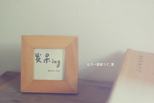 生活是阳光的 治愈系唯美可爱小清新小物图片