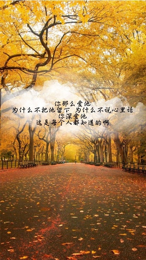 十年之前，我不认识你，你不属于我