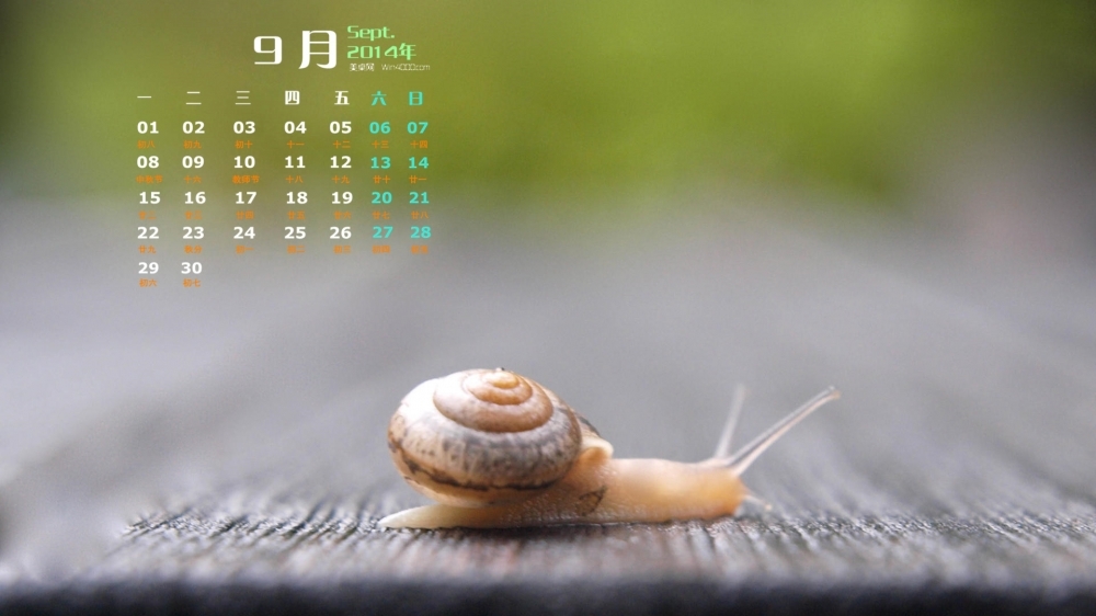 2014年9月日历自然动物蜗牛高清电脑桌面主题壁纸下载