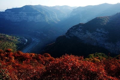 山岭风景意境好看花草图片