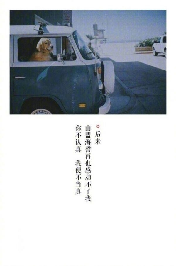 默然等待千年，只为在此相遇.
