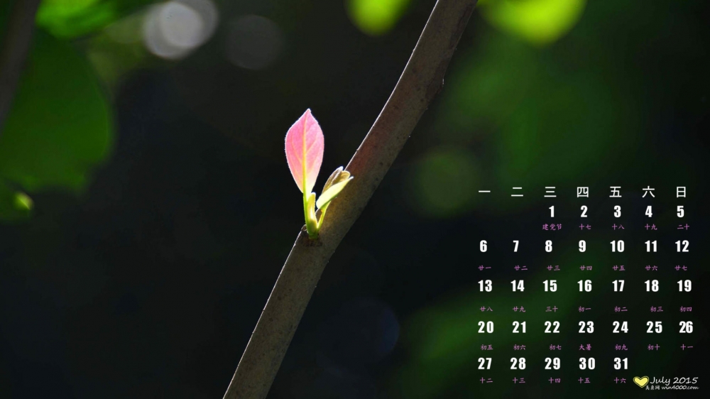 2015年7月日历精选枝叶嫩芽高清植物风景桌面壁纸下载