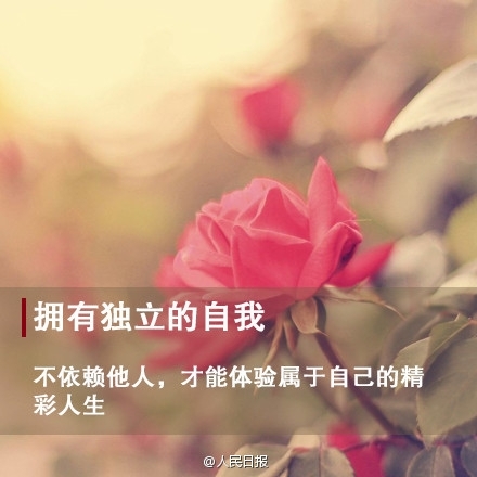 懂得珍惜，你会发现，幸福和快乐从不稀罕