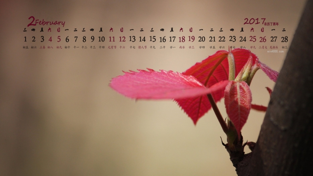 2017年2月红色嫩芽高清桌面日历壁纸