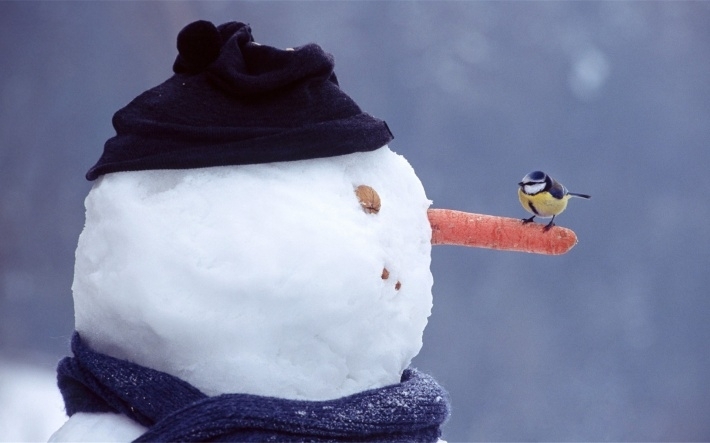 圣诞雪人图片壁纸大全