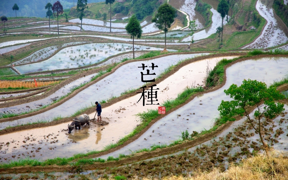 二十四节气宽屏壁纸