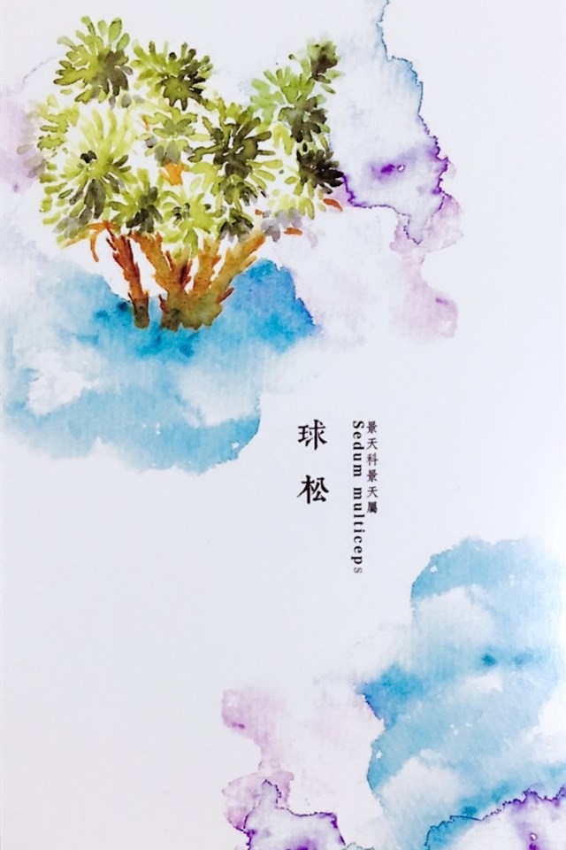 植物水彩艺术插画手机壁纸