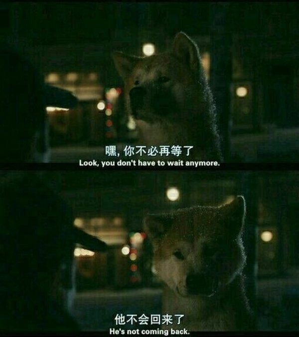 那些经典台词