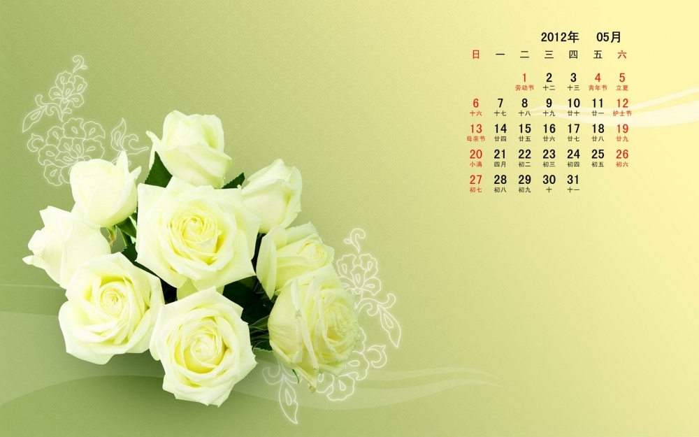 白玫瑰桌面5月日历壁纸