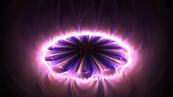 梦幻花朵高清电脑桌面大全 第二辑