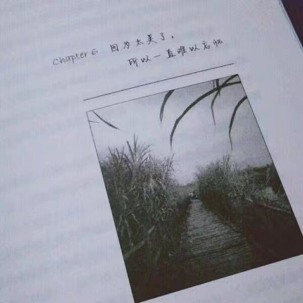 如果你失眠 记得想我 别把时间浪费了