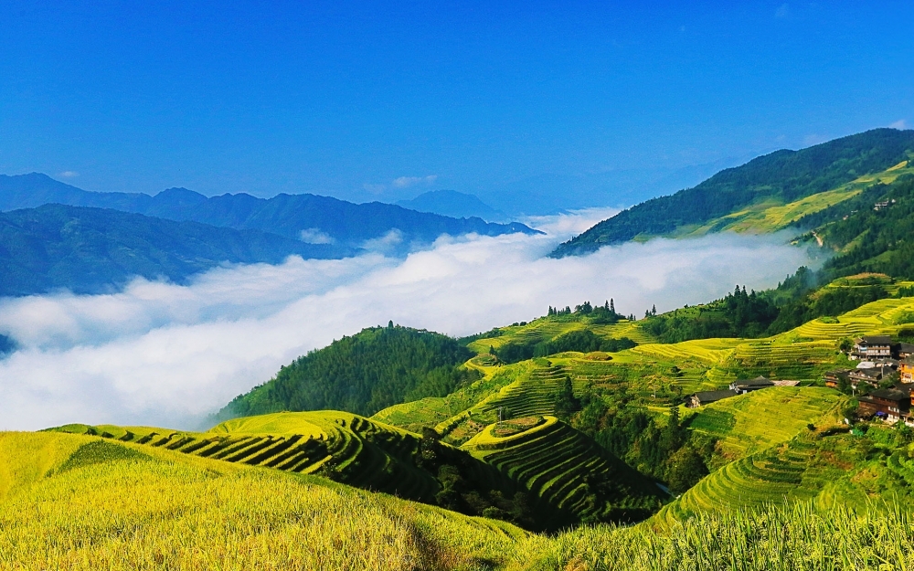 广西龙脊梯田风景壁纸高清