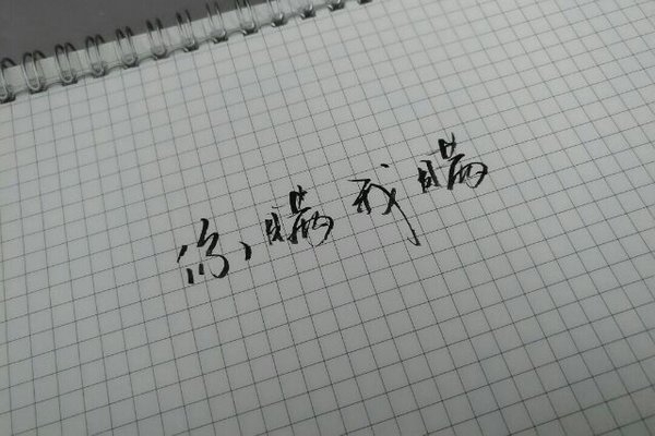 坚强是温柔生的茧，欢笑是苦难留的疤。