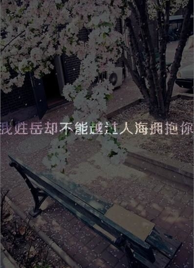 没有谁能击垮你 除非你自甘堕落