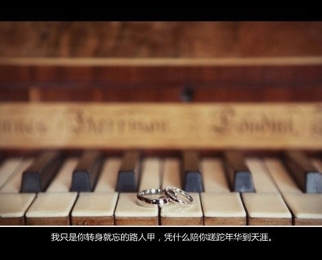 我的一路偏执，最后只换来你转身离去