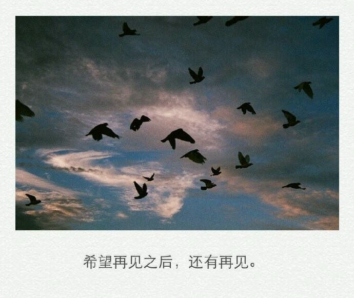 沐阳：只是偶尔被需要从来没有很重要