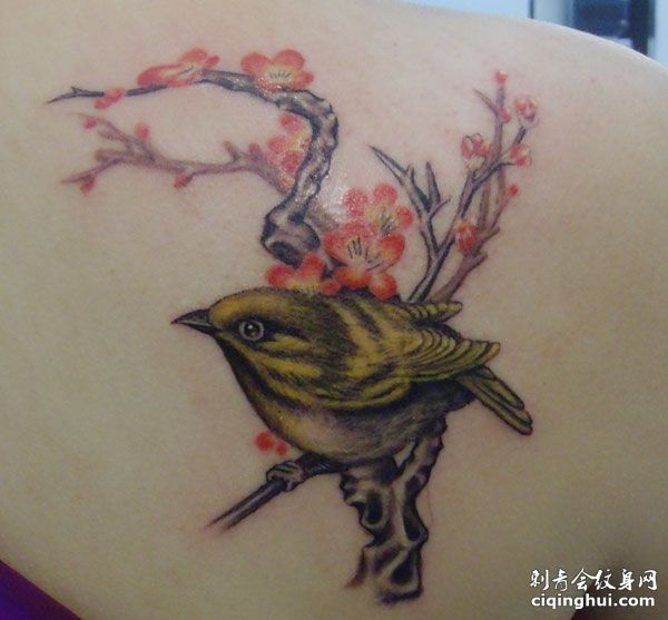 肩部小鸟梅花纹身图案