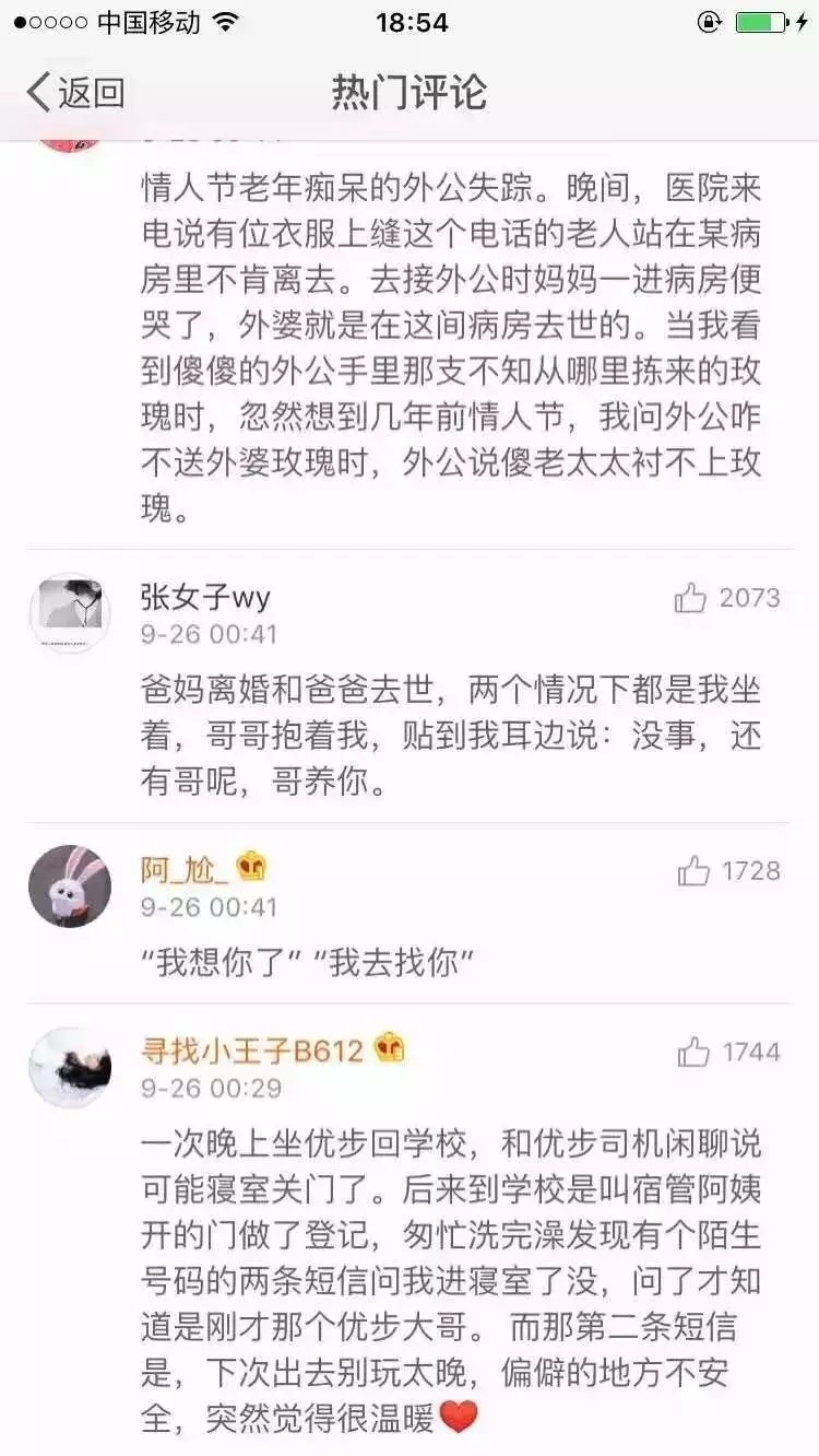 愿每个人都不被温柔以待