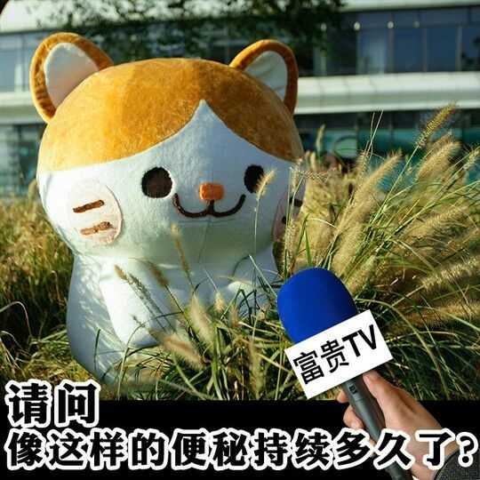 富贵TV
