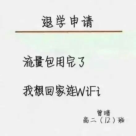 退学申请这么写.