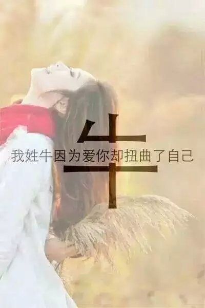 姓氏.