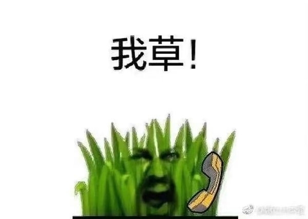我日啊，你谁啊