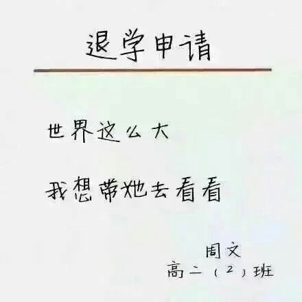 退学申请这么写.