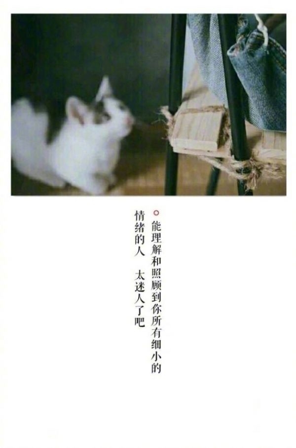 默然等待千年，只为在此相遇.