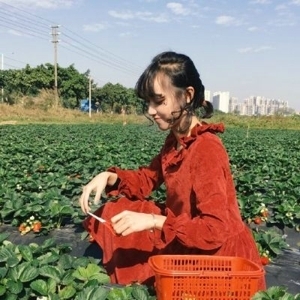 拖延，已是婉转的拒绝  闭月羞花秀外慧中可爱女生头像