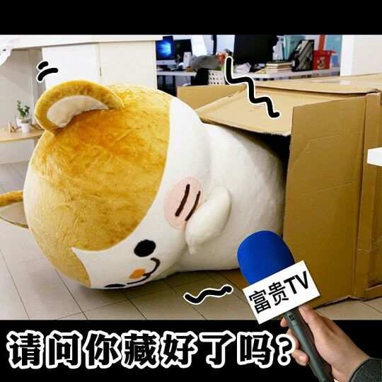 富贵TV