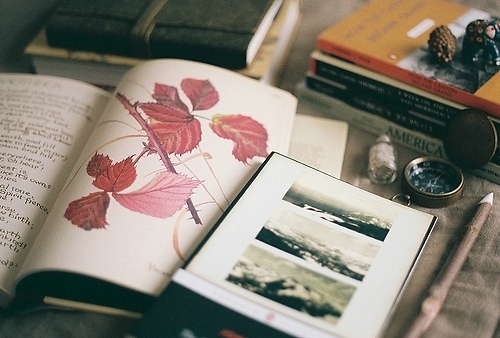 爱情是各自独立坚强 LOMO唯美图片