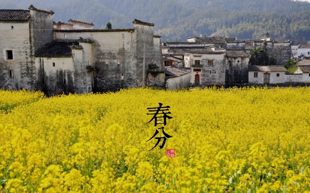 二十四节气宽屏壁纸