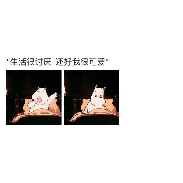 生活很讨厌，还好我很可爱