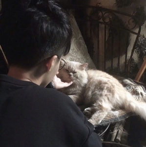 可爱男生帅气十足魅力头像
