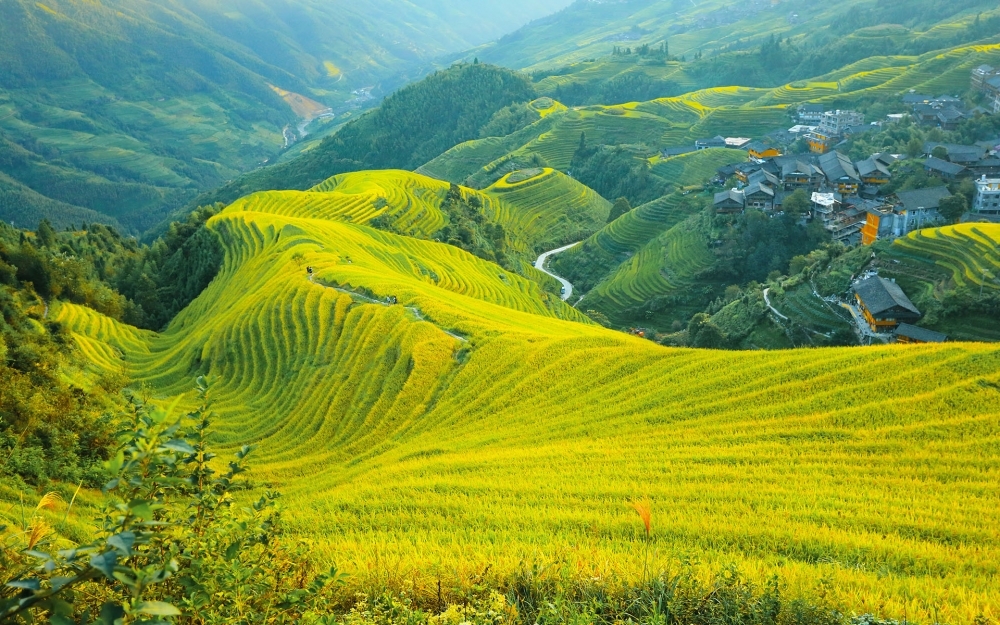 广西龙脊梯田风景壁纸高清