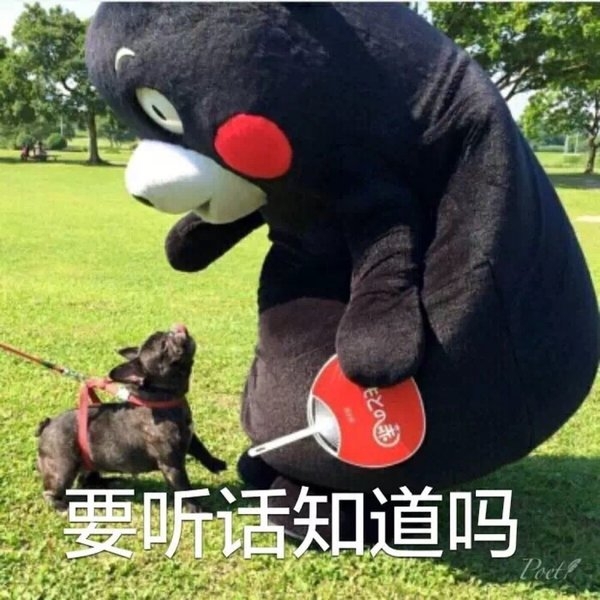 吃你家狗粮了吗？