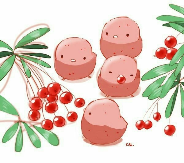 萌萌哒的