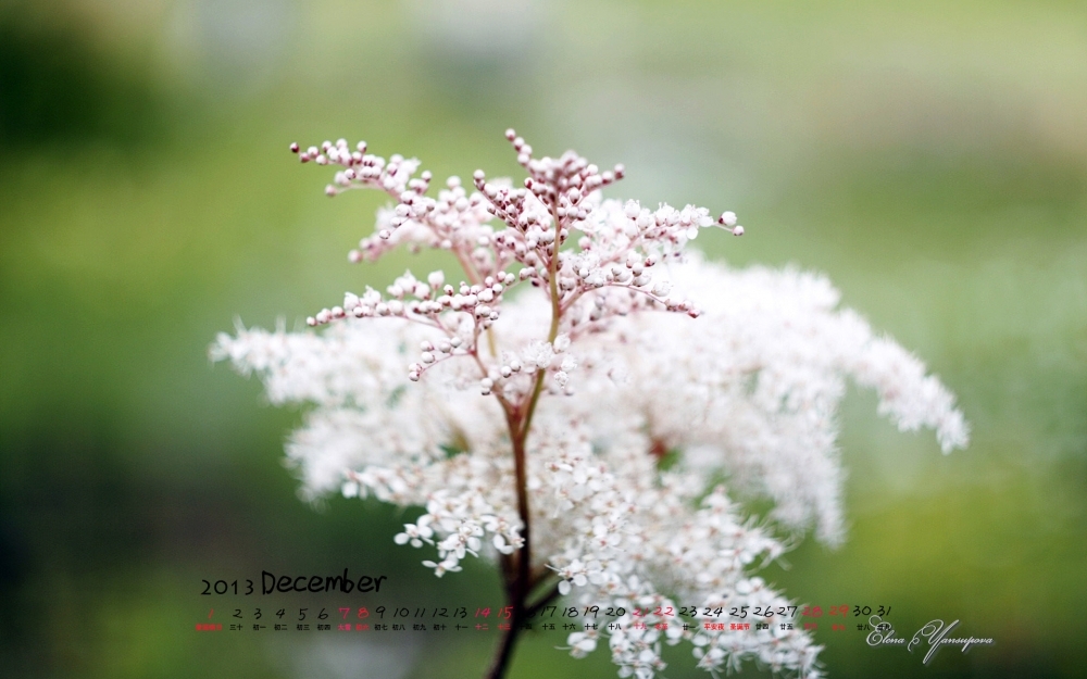 2013年12月日历高清风景壁纸