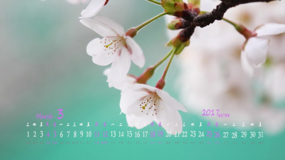 2017年3月意境小清新植物日历壁纸