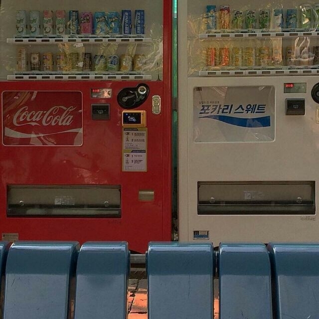 路很野