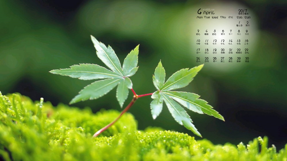 2017年4月绿色自然日历壁纸