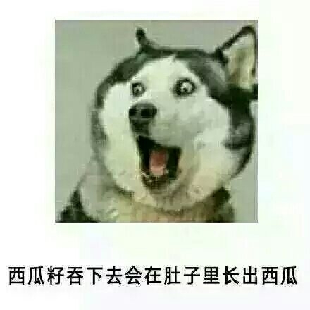 我承认小时候的这些套路我都信了.